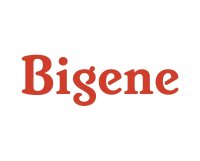 Bigene